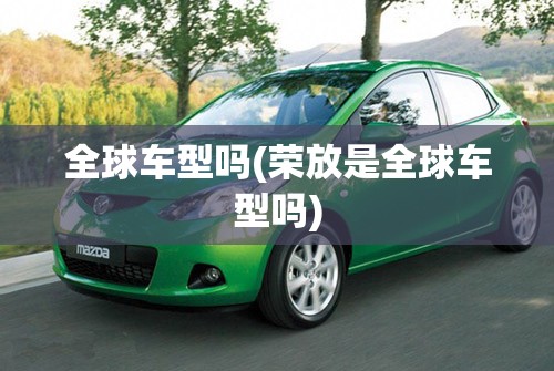 全球车型吗(荣放是全球车型吗)