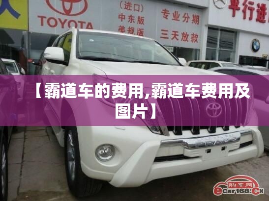 【霸道车的费用,霸道车费用及图片】