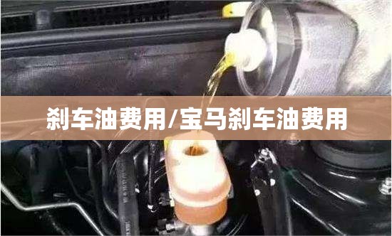 刹车油费用/宝马刹车油费用