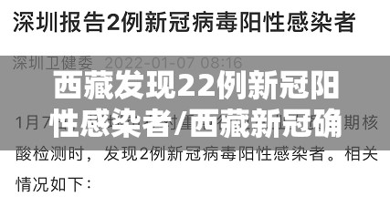 西藏发现22例新冠阳性感染者/西藏新冠确诊病例