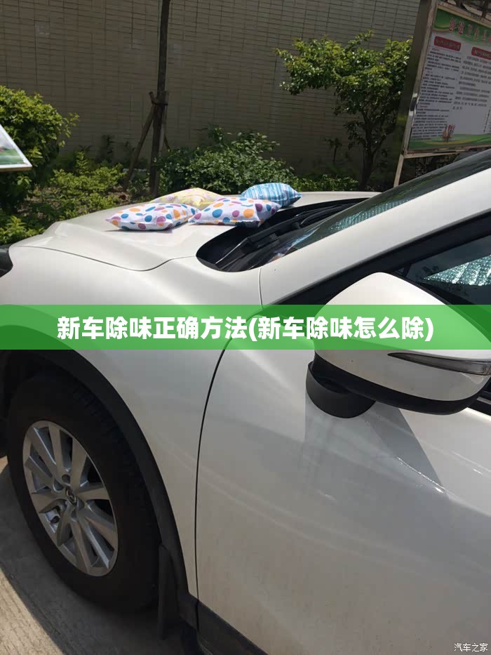 新车除味正确方法(新车除味怎么除)