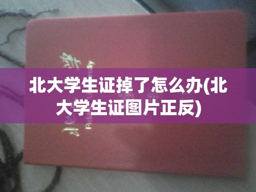 北大学生证掉了怎么办(北大学生证图片正反) 北大学生证掉了怎么办(北大学生证图片正反)