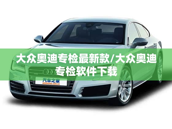 大众奥迪专检最新款/大众奥迪专检软件下载