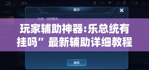 玩家辅助神器:乐总统有挂吗”最新辅助详细教程