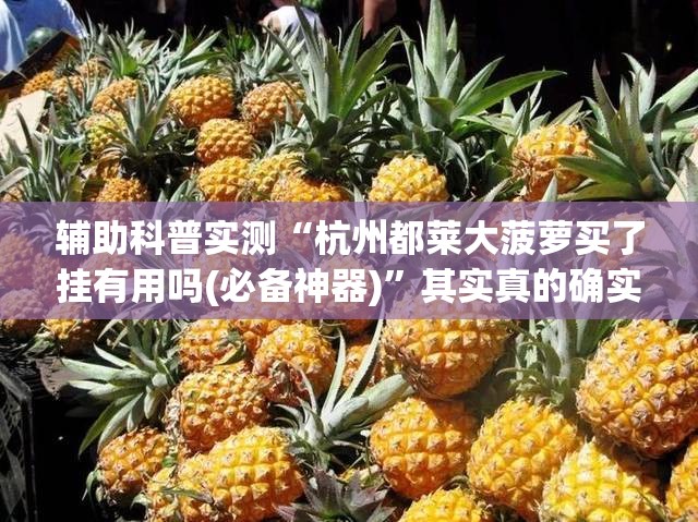 辅助科普实测“杭州都莱大菠萝买了挂有用吗(必备神器)”其实真的确实有挂