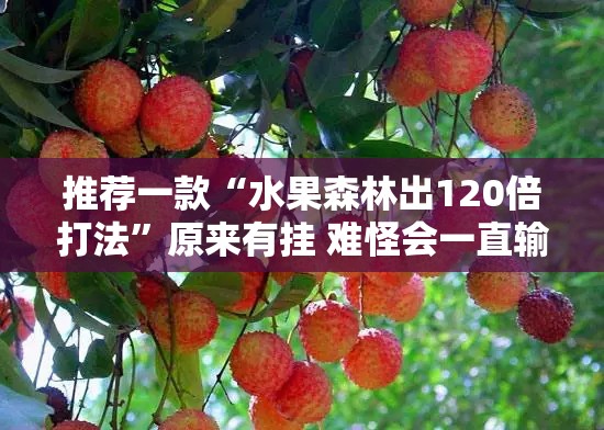 推荐一款“水果森林出120倍打法	”原来有挂 难怪会一直输