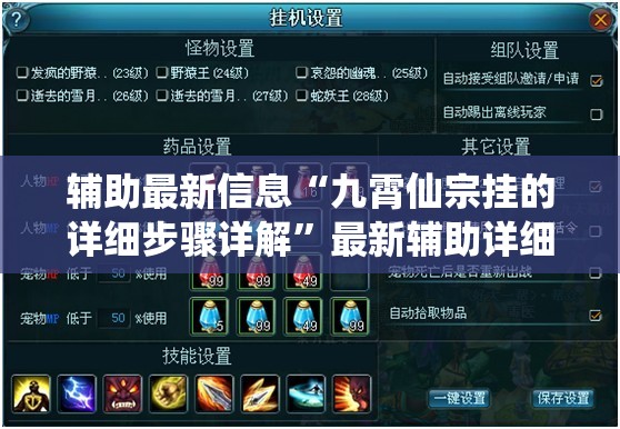 辅助最新信息“九霄仙宗挂的详细步骤详解”最新辅助详细教程