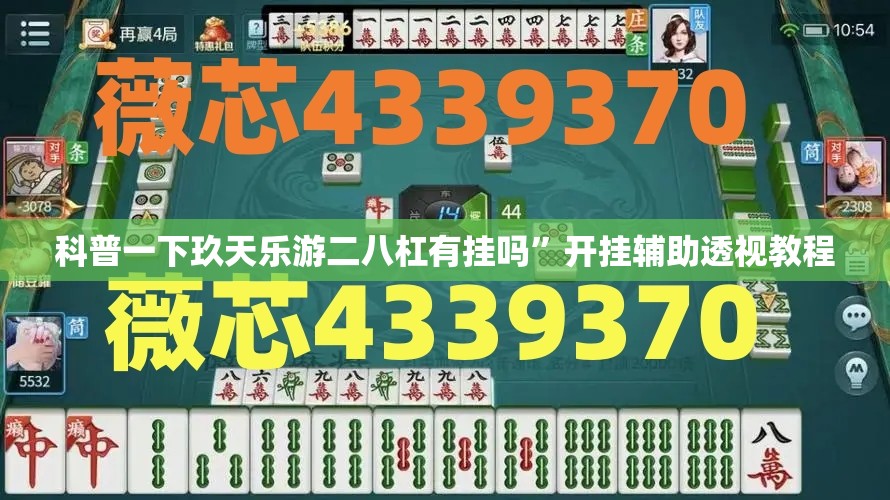 科普一下玖天乐游二八杠有挂吗”开挂辅助透视教程