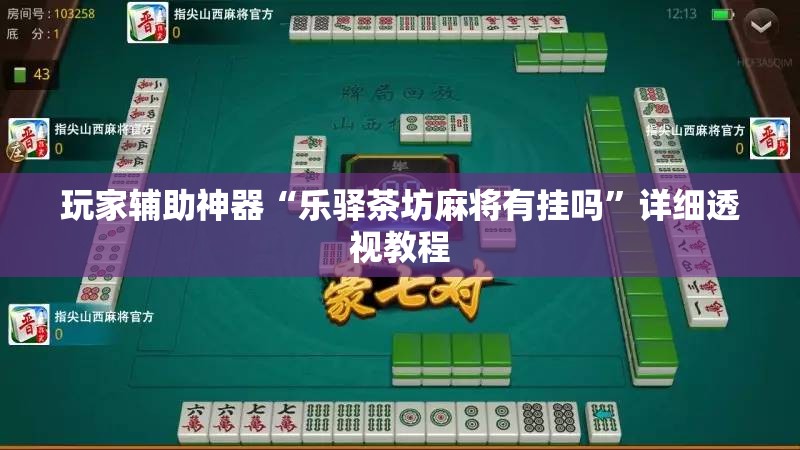 玩家辅助神器“乐驿茶坊麻将有挂吗”详细透视教程