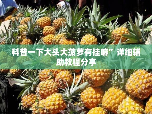科普一下大头大菠萝有挂嘛	”详细辅助教程分享