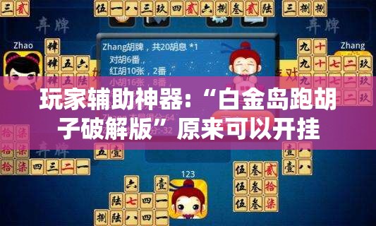 玩家辅助神器:“白金岛跑胡子破解版”原来可以开挂
