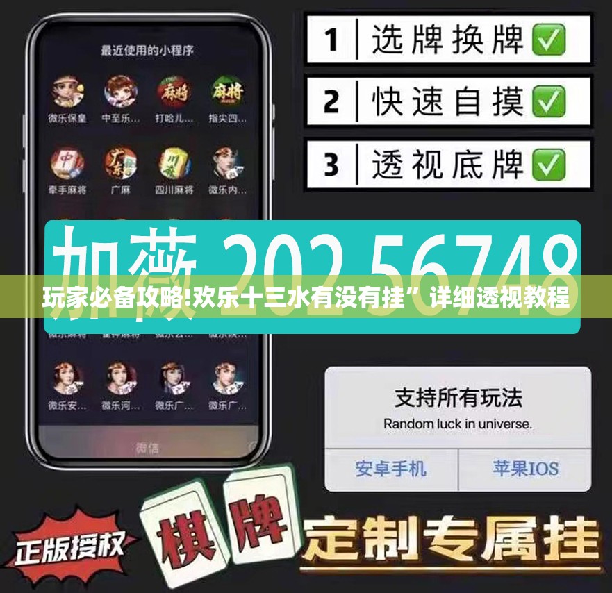 玩家必备攻略!欢乐十三水有没有挂”详细透视教程