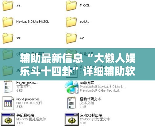 辅助最新信息“大懒人娱乐斗十四卦	”详细辅助软件教程