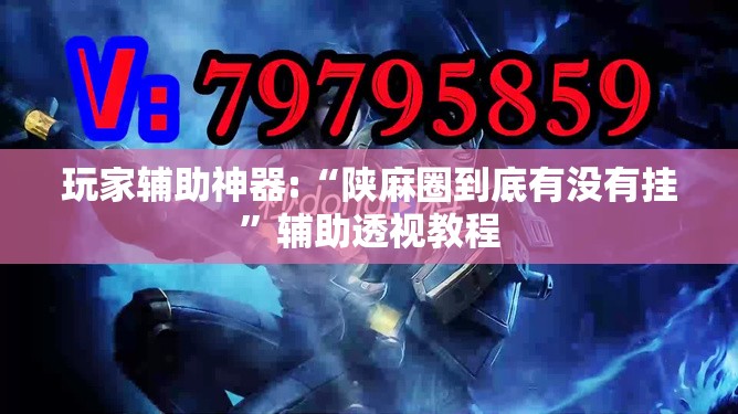 玩家辅助神器:“陕麻圈到底有没有挂”辅助透视教程