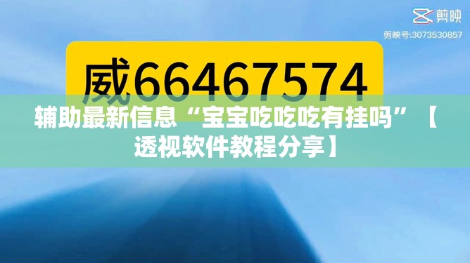 辅助最新信息“宝宝吃吃吃有挂吗”【透视软件教程分享】