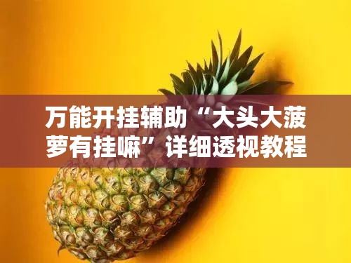 万能开挂辅助“大头大菠萝有挂嘛	”详细透视教程