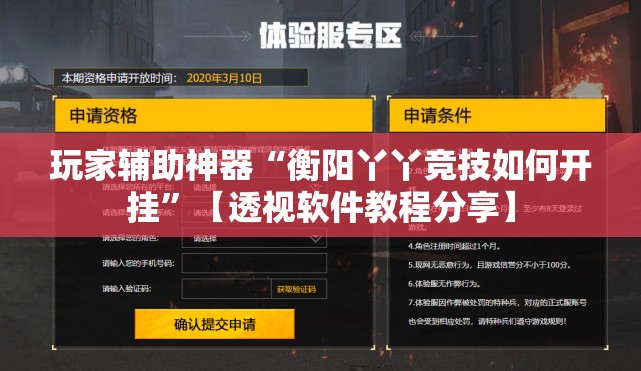 玩家辅助神器“衡阳丫丫竞技如何开挂”【透视软件教程分享】