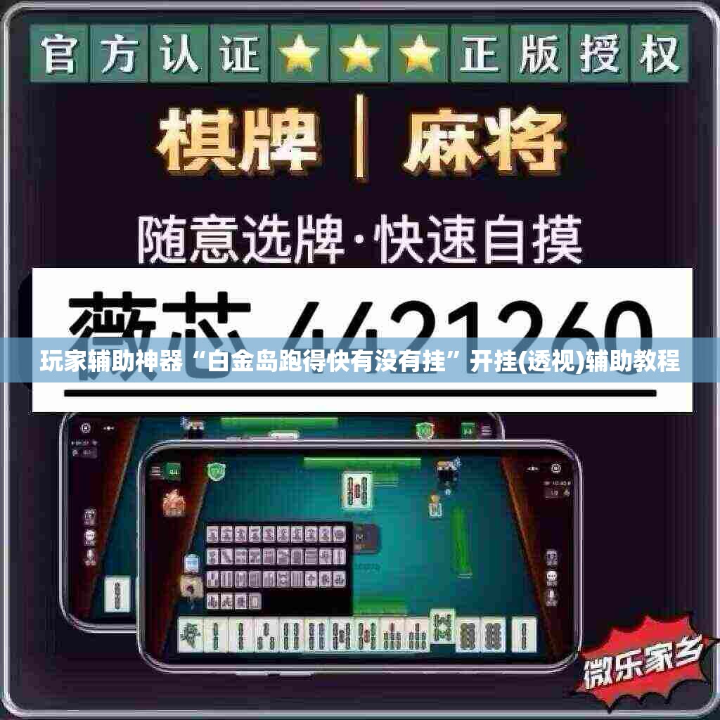 玩家辅助神器“白金岛跑得快有没有挂”开挂(透视)辅助教程
