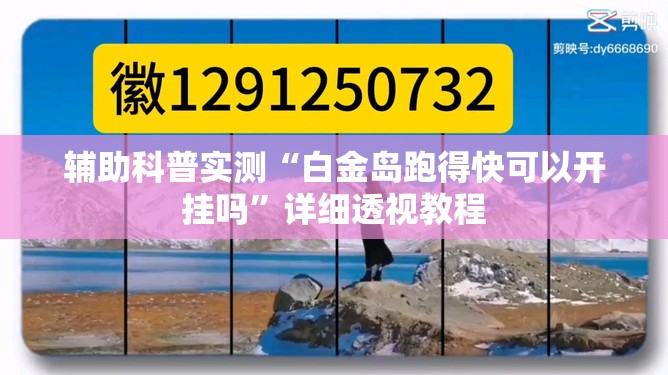 辅助科普实测“白金岛跑得快可以开挂吗	”详细透视教程