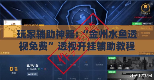 玩家辅助神器:“金州水鱼透视免费”透视开挂辅助教程