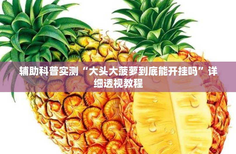 辅助科普实测“大头大菠萝到底能开挂吗”详细透视教程
