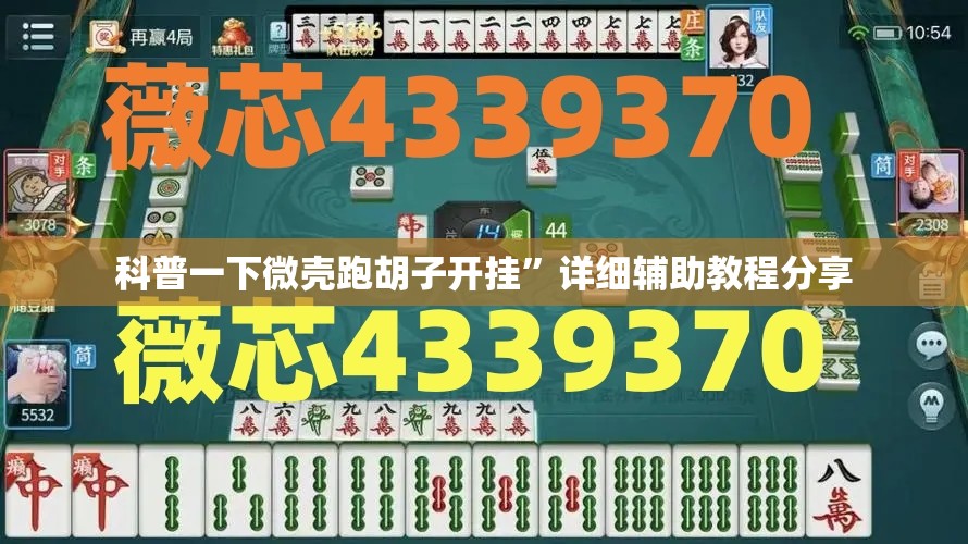 科普一下微壳跑胡子开挂”详细辅助教程分享