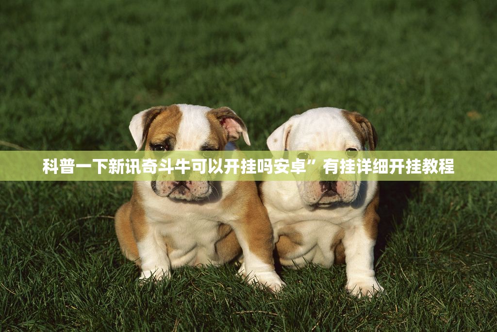 科普一下新讯奇斗牛可以开挂吗安卓”有挂详细开挂教程