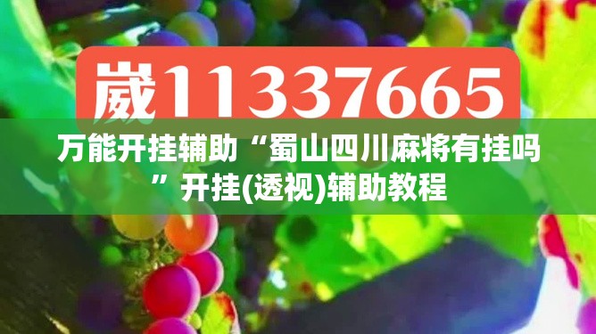 万能开挂辅助“蜀山四川麻将有挂吗”开挂(透视)辅助教程