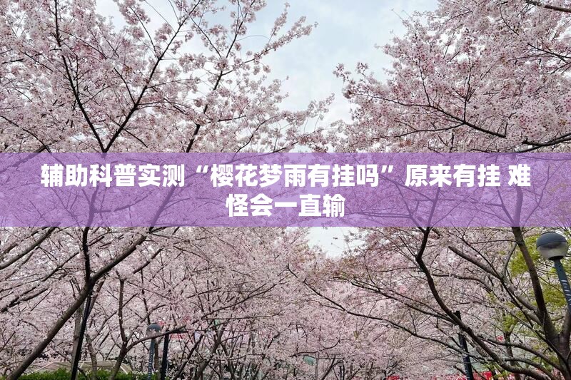 辅助科普实测“樱花梦雨有挂吗”原来有挂 难怪会一直输