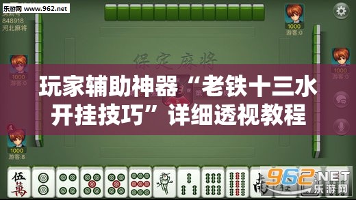 玩家辅助神器“老铁十三水开挂技巧	”详细透视教程