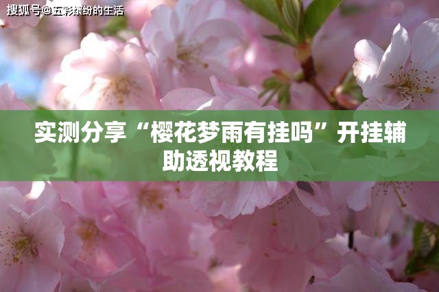 实测分享“樱花梦雨有挂吗”开挂辅助透视教程