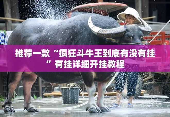 推荐一款“疯狂斗牛王到底有没有挂	”有挂详细开挂教程
