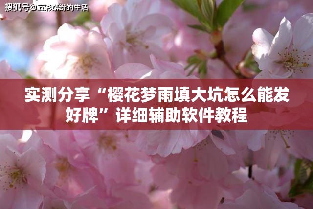 实测分享“樱花梦雨填大坑怎么能发好牌”详细辅助软件教程