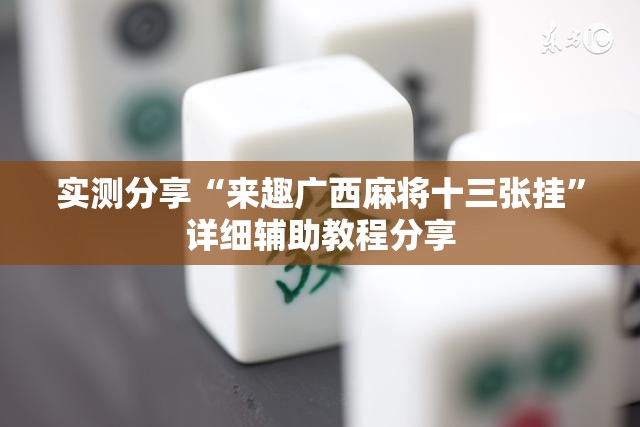 实测分享“来趣广西麻将十三张挂”详细辅助教程分享