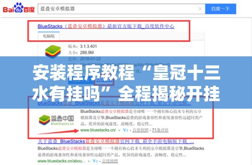 安装程序教程“皇冠十三水有挂吗”全程揭秘开挂教程