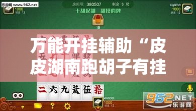 万能开挂辅助“皮皮湖南跑胡子有挂吗”详细分享装挂步骤