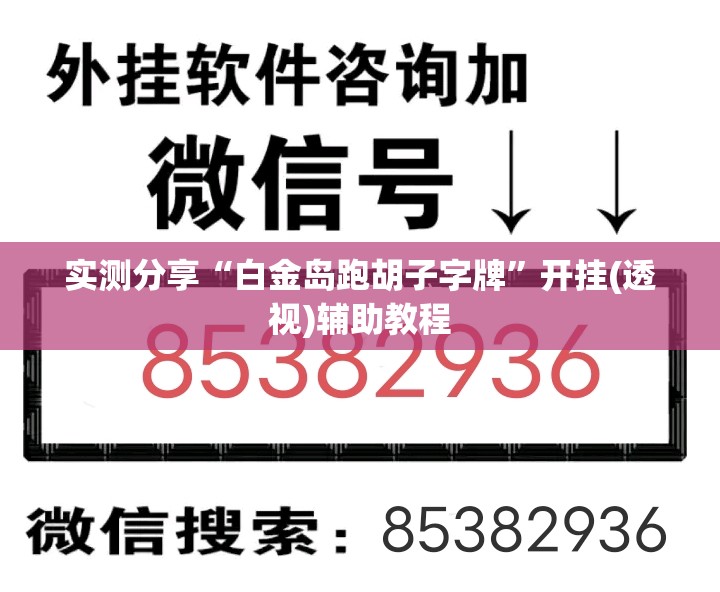 实测分享“白金岛跑胡子字牌	”开挂(透视)辅助教程