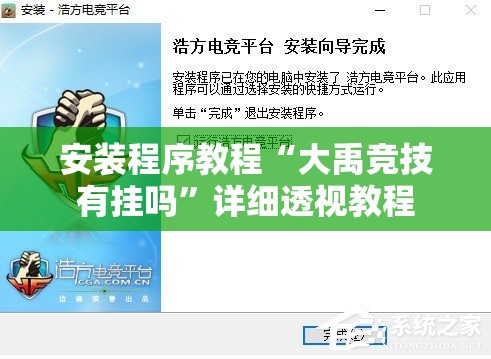 安装程序教程“大禹竞技有挂吗”详细透视教程