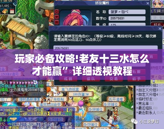 玩家必备攻略!老友十三水怎么才能赢”详细透视教程