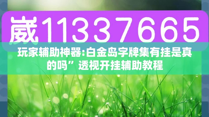 玩家辅助神器:白金岛字牌集有挂是真的吗”透视开挂辅助教程