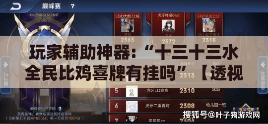 玩家辅助神器:“十三十三水全民比鸡喜牌有挂吗”【透视软件教程分享】