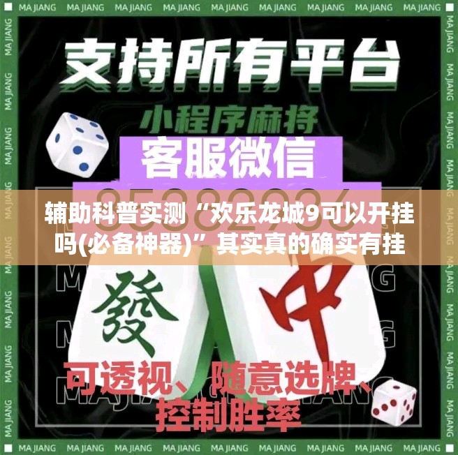 辅助科普实测“欢乐龙城9可以开挂吗(必备神器)”其实真的确实有挂