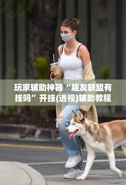 玩家辅助神器“趣友联盟有挂吗”开挂(透视)辅助教程
