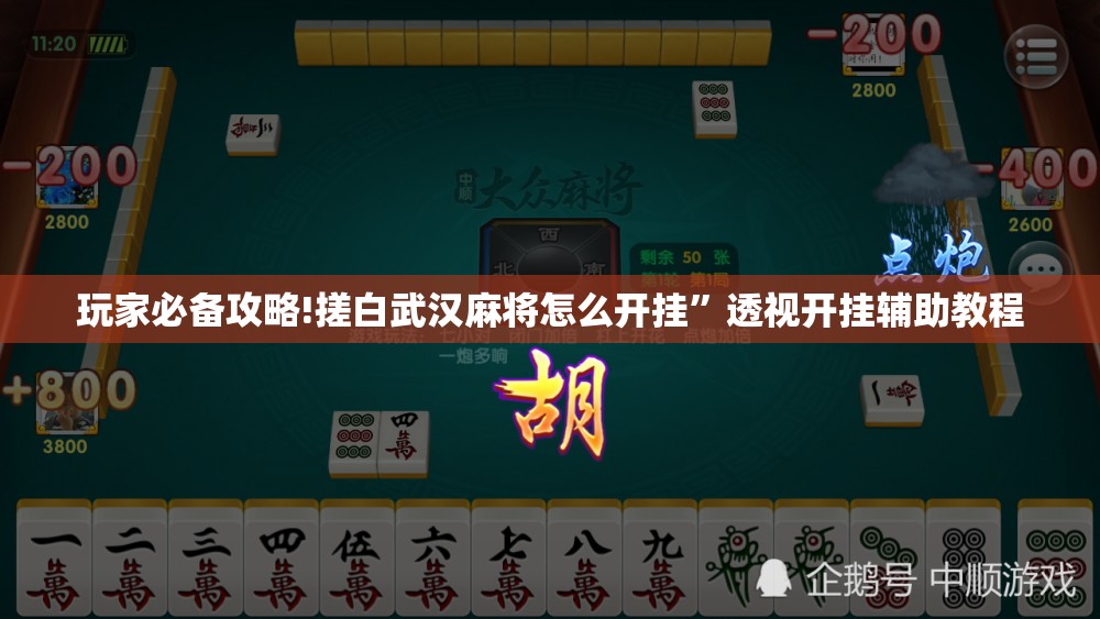 玩家必备攻略!搓白武汉麻将怎么开挂”透视开挂辅助教程