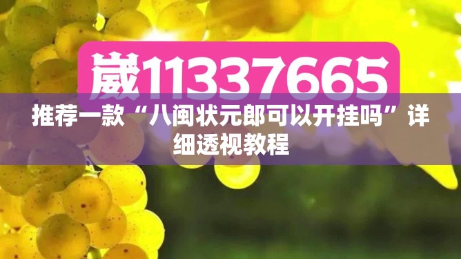 推荐一款“八闽状元郎可以开挂吗”详细透视教程