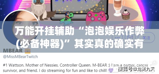 万能开挂辅助“泡泡娱乐作弊(必备神器)”其实真的确实有挂