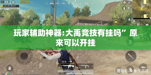 玩家辅助神器:大禹竞技有挂吗”原来可以开挂