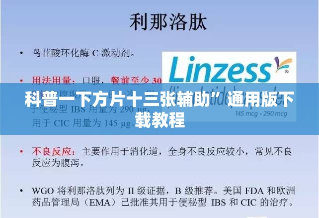 科普一下方片十三张辅助”通用版下载教程