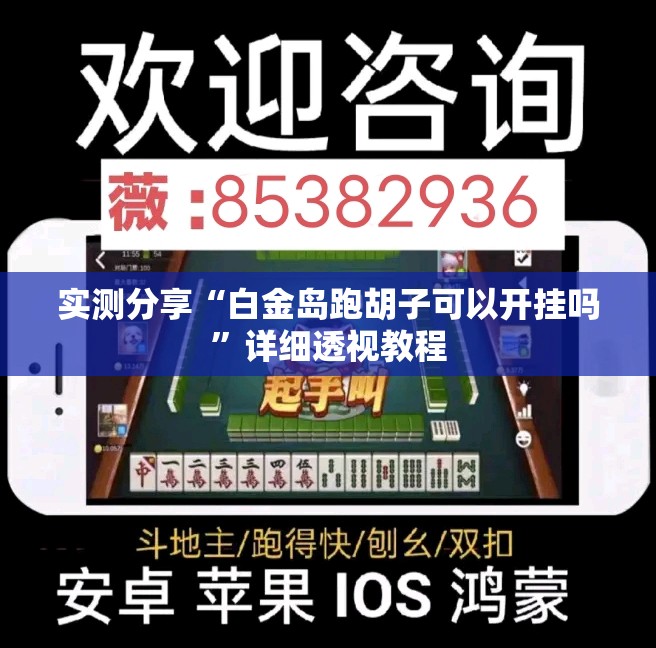实测分享“白金岛跑胡子可以开挂吗”详细透视教程