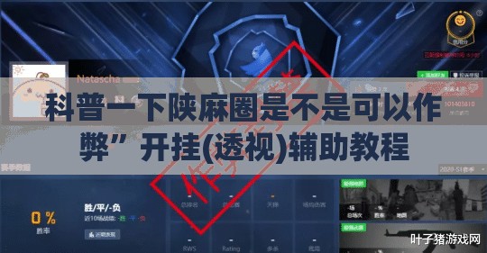 科普一下陕麻圈是不是可以作弊”开挂(透视)辅助教程